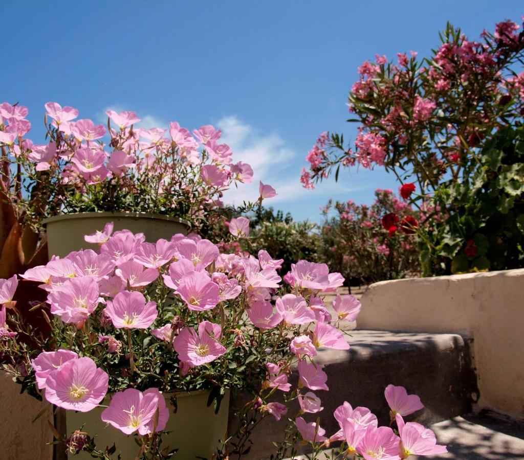 מונוליתוס Flower And Crafts - The Eco Nature House מראה חיצוני תמונה